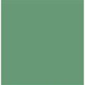Tru-Color Paint Paint, FS-34159 Bomber Green TCP1224